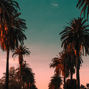 imagesound, Los Angeles, America