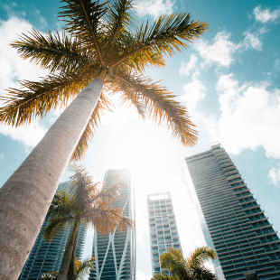 imagesound, Miami, America