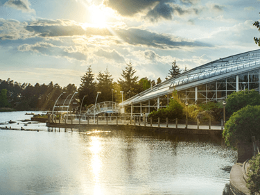 Brand Stories - Center Parcs